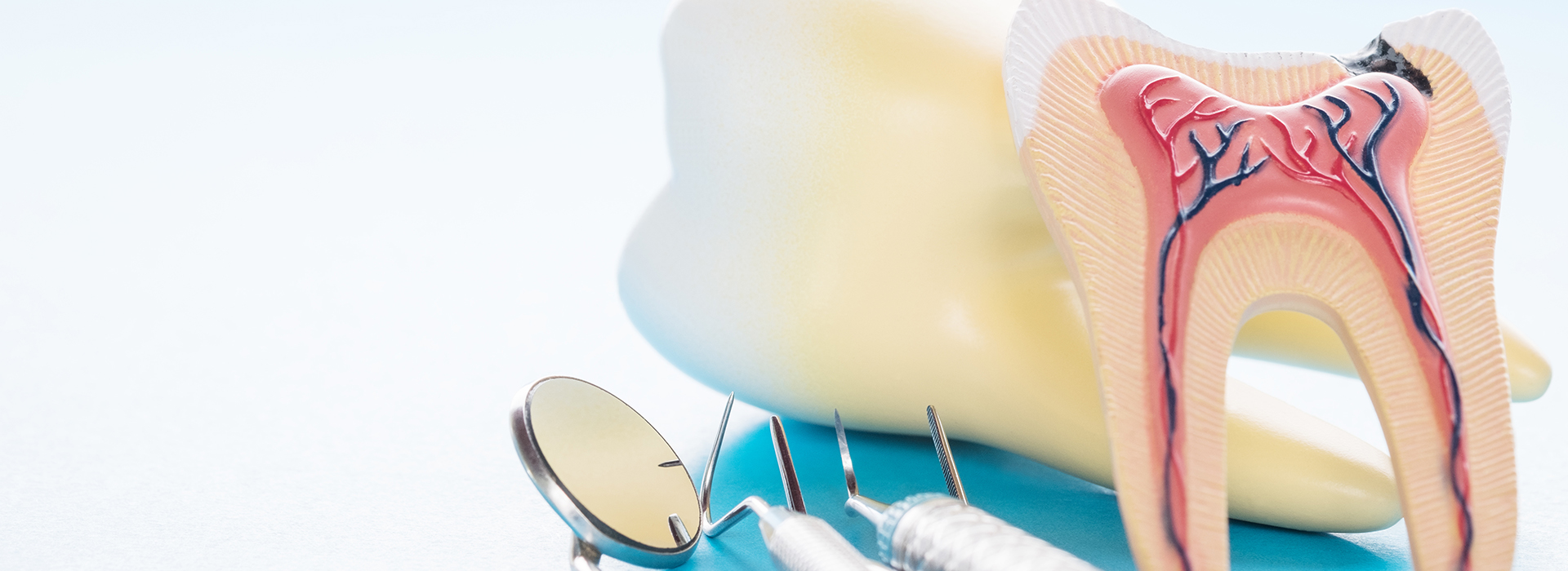 Albee Dental Care | Dentures, Oral Cancer Screening and Oral Exams